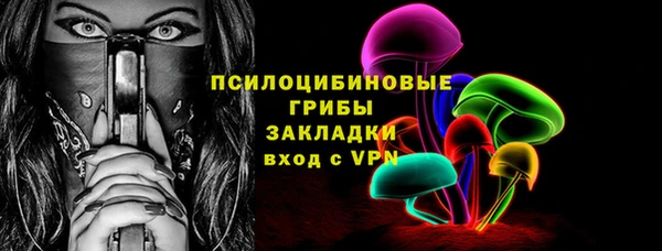 эйфоретик Арсеньев