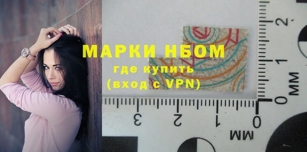 гашик Сатка