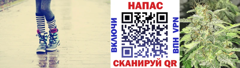 хочу   Новоузенск  Марихуана сатива 